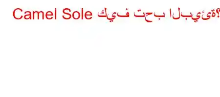 Camel Sole كيف تحب البيئة؟